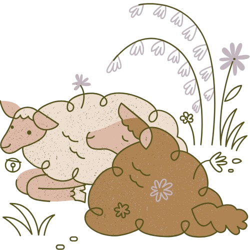 Babyschlafberatung in Leipzig – Schlafschäfchen